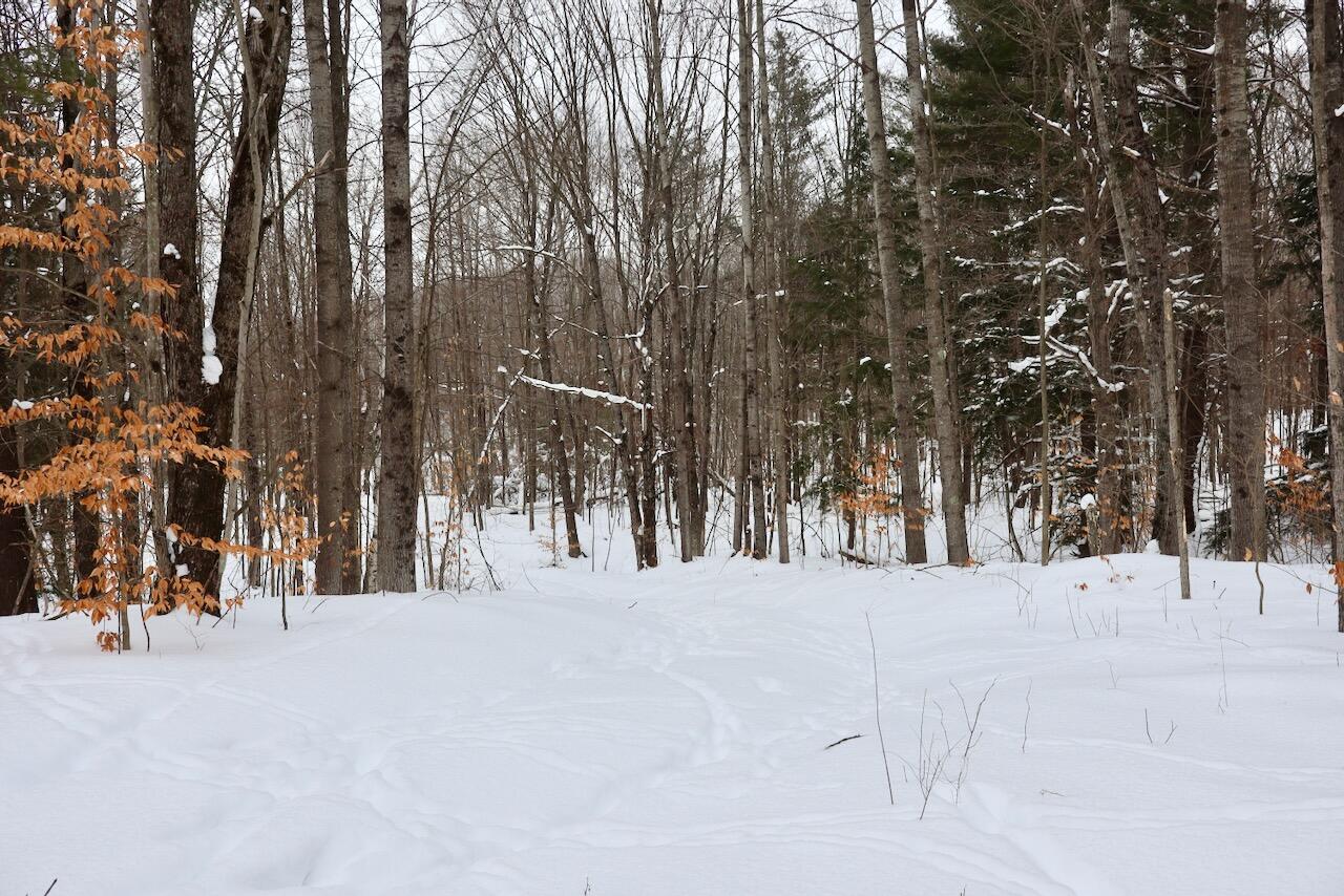 17 17 Mile Road Leroy, MI 49655 - Photo 27 of 62 023