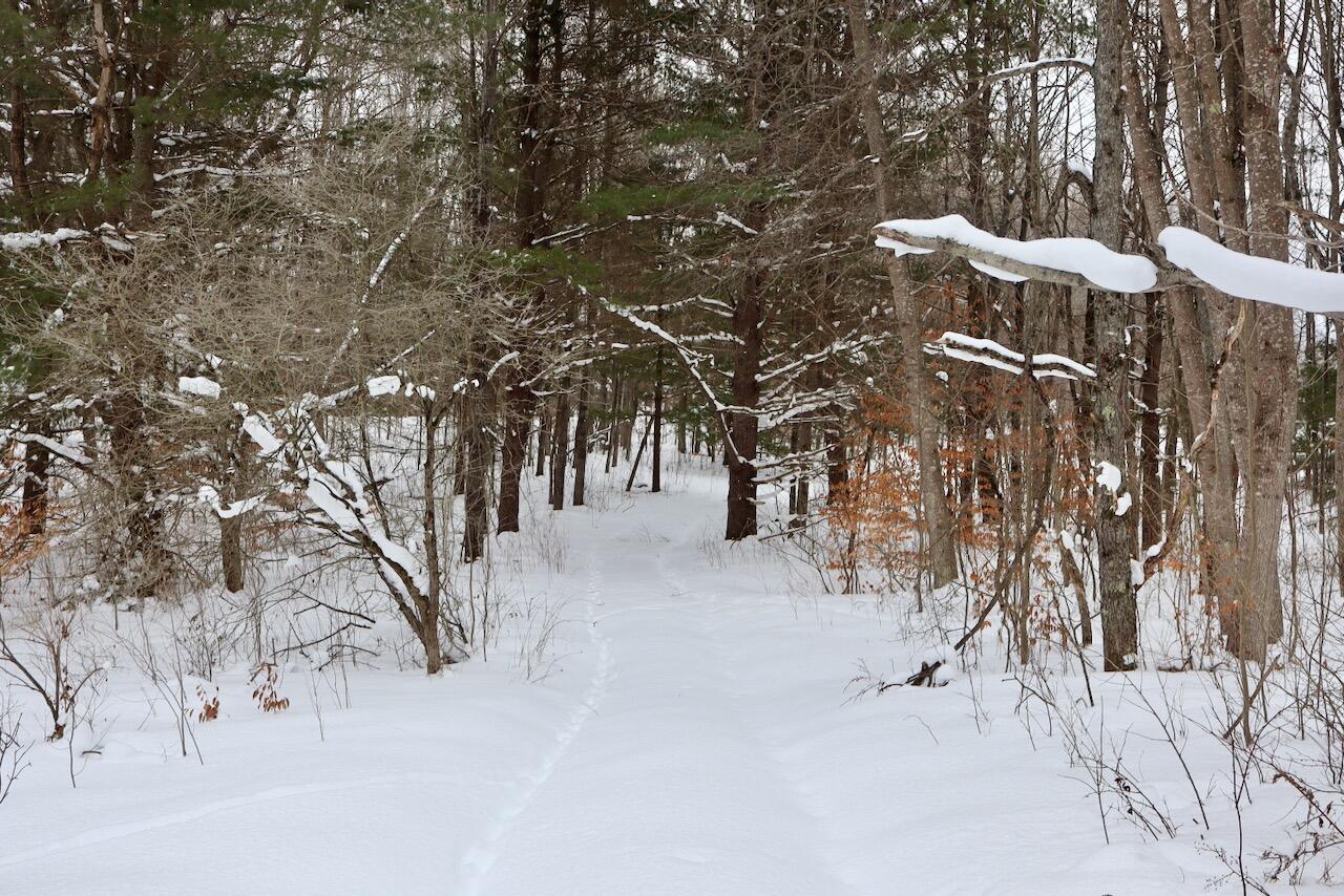 17 17 Mile Road Leroy, MI 49655 - Photo 28 of 62 024