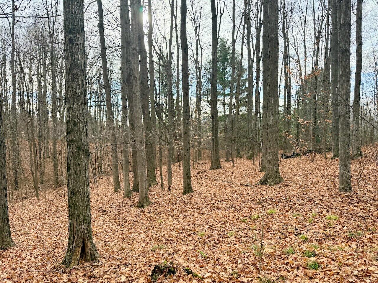 17 17 Mile Road Leroy, MI 49655 - Photo 30 of 62 026