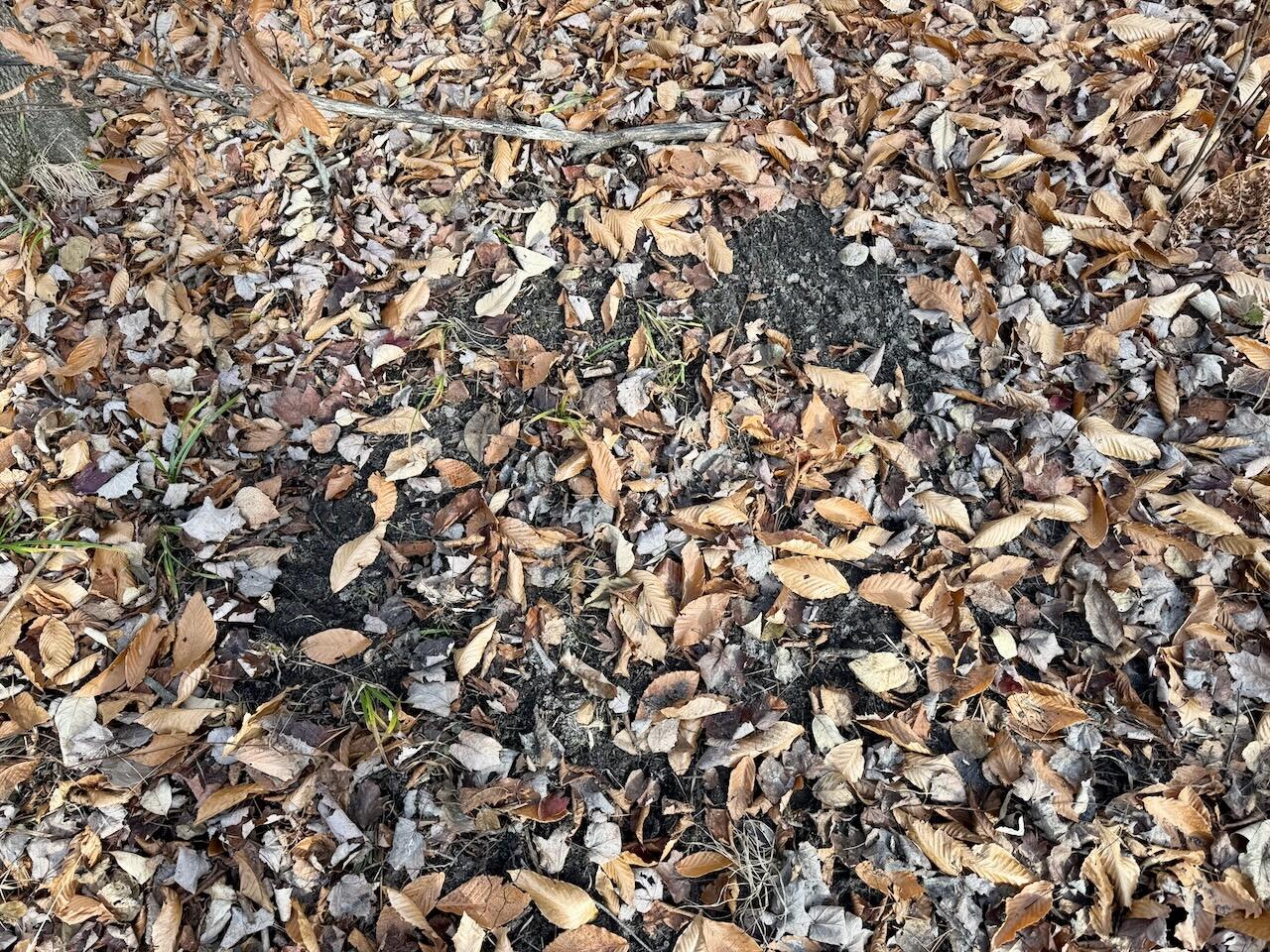 17 17 Mile Road Leroy, MI 49655 - Photo 36 of 62 031