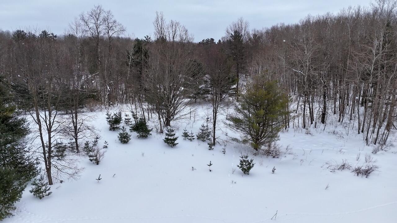 17 17 Mile Road Leroy, MI 49655 - Photo 40 of 62 035