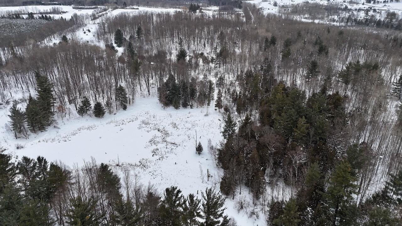 17 17 Mile Road Leroy, MI 49655 - Photo 41 of 62 036