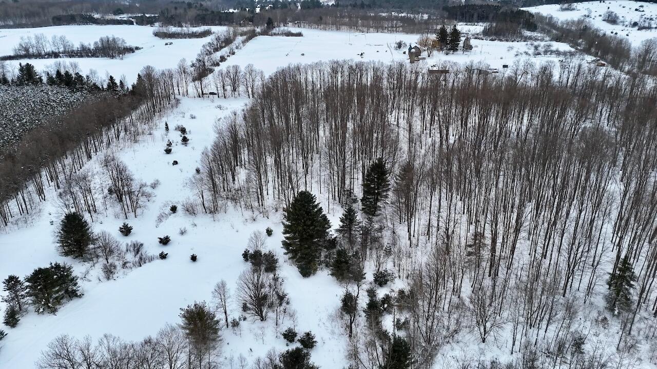 17 17 Mile Road Leroy, MI 49655 - Photo 42 of 62 037