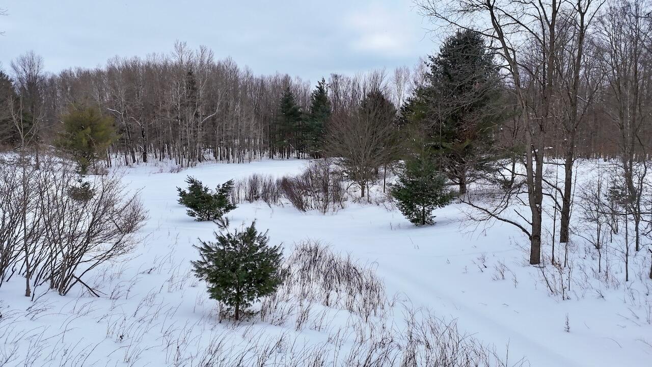 17 17 Mile Road Leroy, MI 49655 - Photo 43 of 62 038