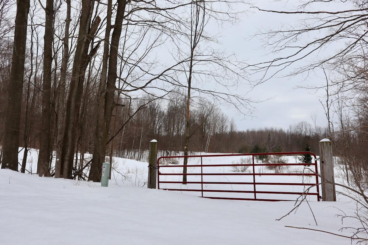 17 17 Mile Road Leroy, MI 49655 - Photo 44 of 62 039