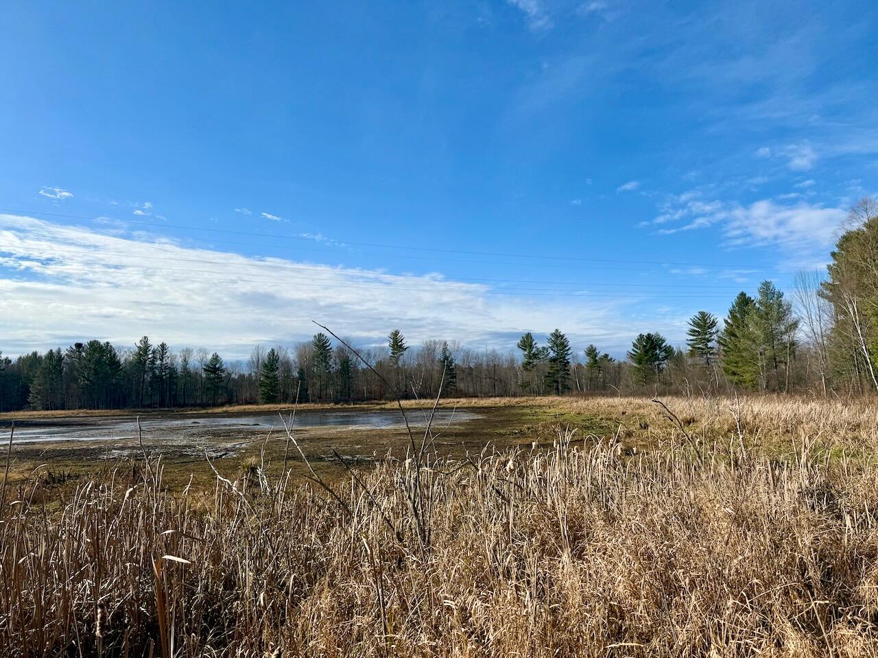 17 17 Mile Road Leroy, MI 49655 - Photo 46 of 62 041