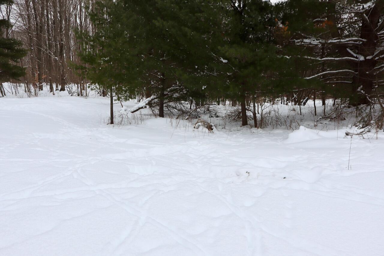 17 17 Mile Road Leroy, MI 49655 - Photo 50 of 62 045