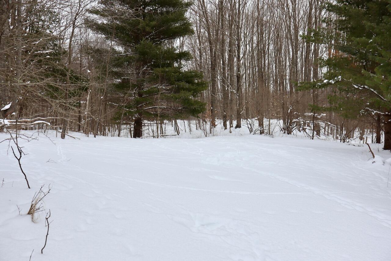 17 17 Mile Road Leroy, MI 49655 - Photo 51 of 62 046