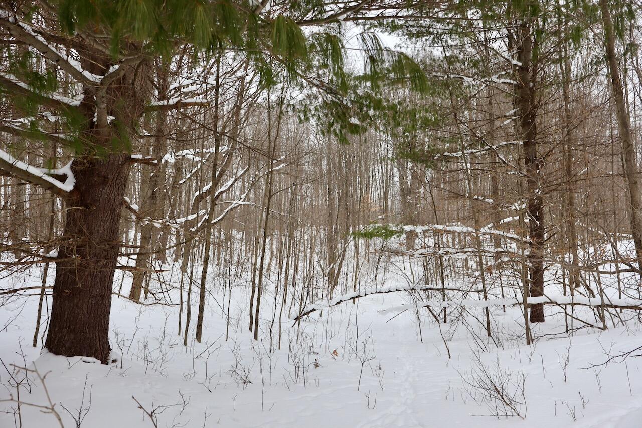 17 17 Mile Road Leroy, MI 49655 - Photo 52 of 62 047