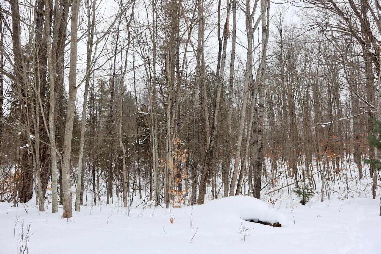 17 17 Mile Road Leroy, MI 49655 - Photo 53 of 62 048