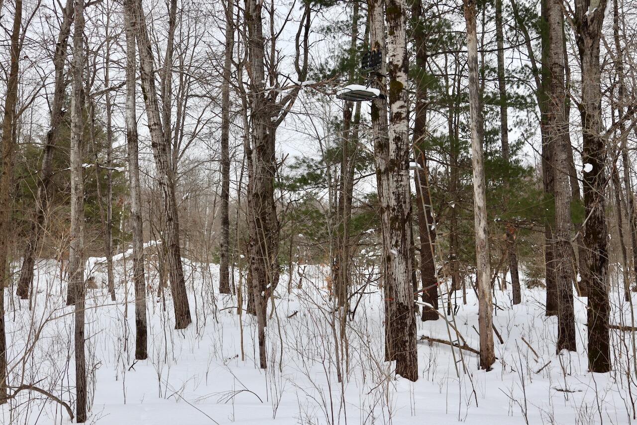 17 17 Mile Road Leroy, MI 49655 - Photo 54 of 62 049