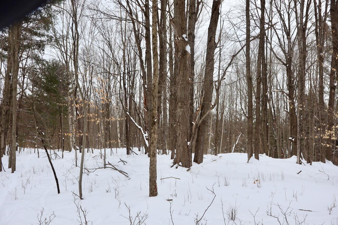 17 17 Mile Road Leroy, MI 49655 - Photo 56 of 62 051