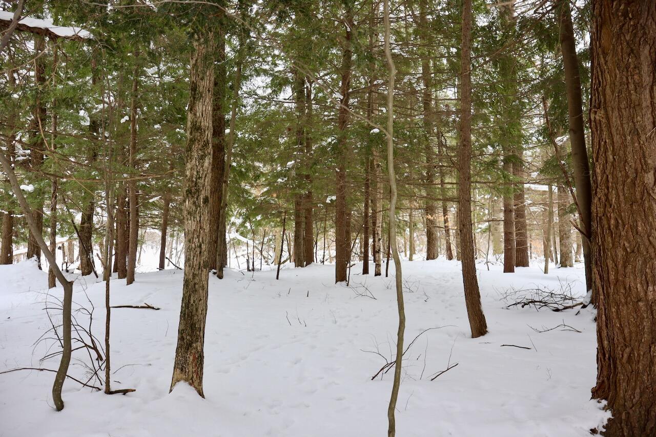 17 17 Mile Road Leroy, MI 49655 - Photo 58 of 62 053