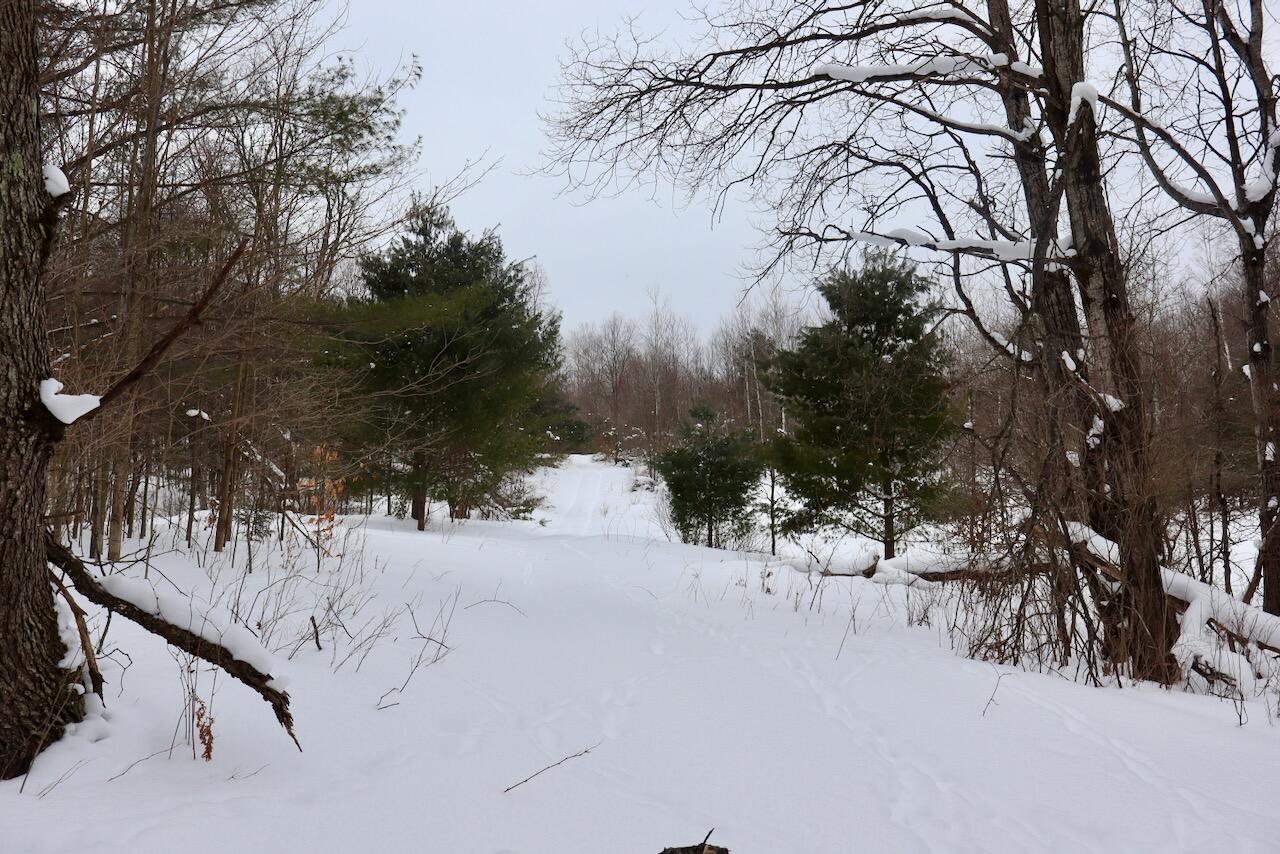 17 17 Mile Road Leroy, MI 49655 - Photo 60 of 62 055