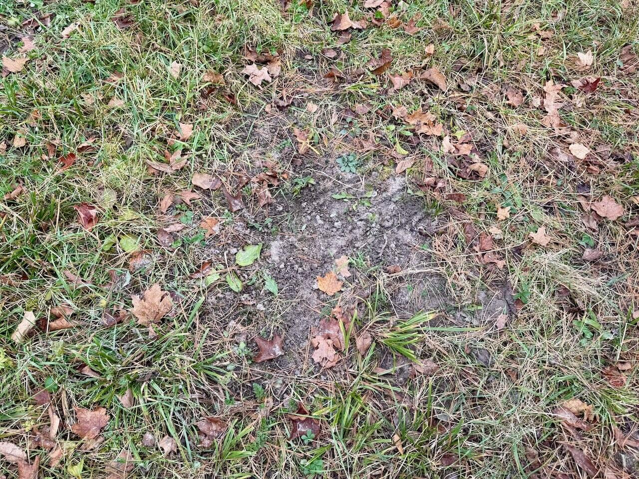 17 17 Mile Road Leroy, MI 49655 - Photo 6 of 62 004b