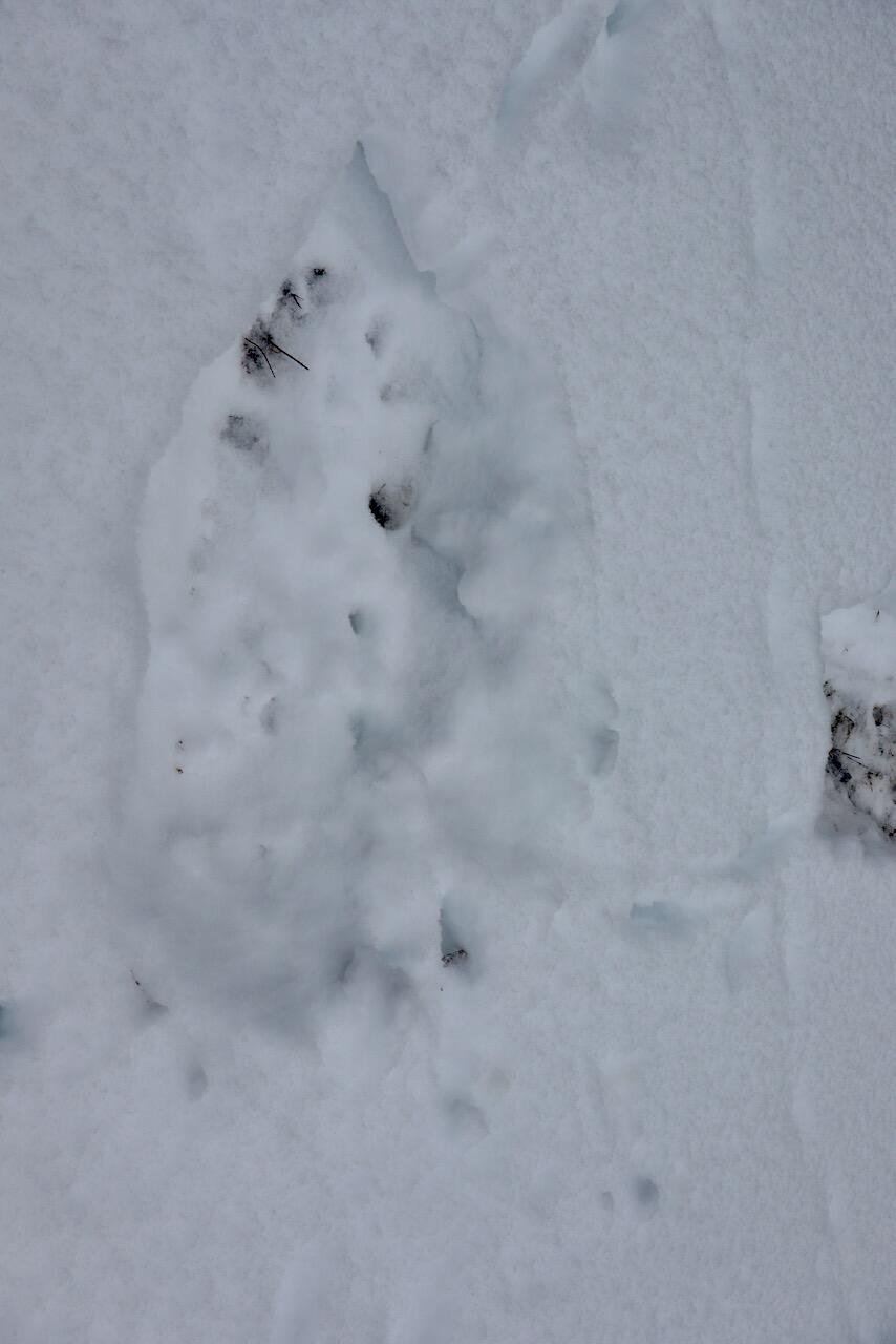 17 17 Mile Road Leroy, MI 49655 - Photo 61 of 62 056