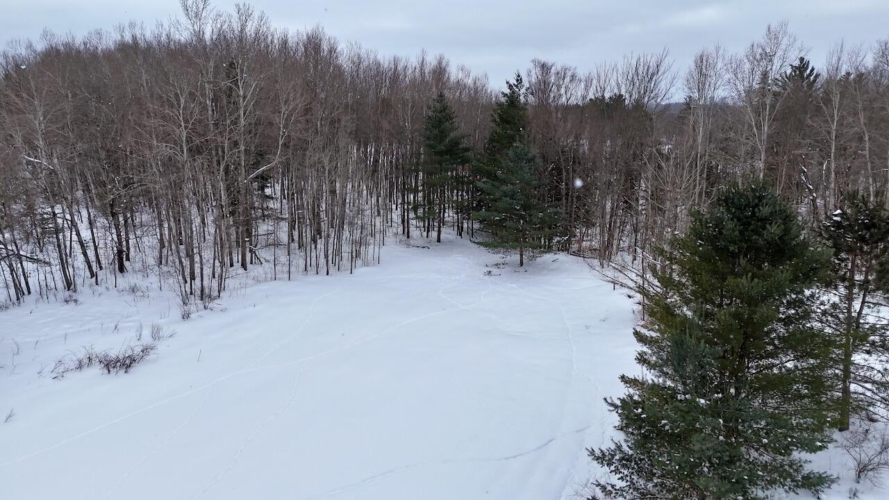 17 17 Mile Road Leroy, MI 49655 - Photo 8 of 62 005a