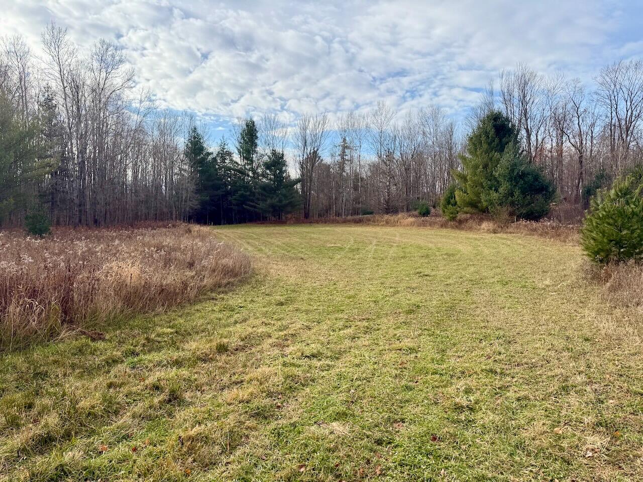 17 17 Mile Road Leroy, MI 49655 - Photo 9 of 62 006