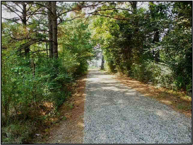 15 Walter Jones Road Mendenhall, MS 39111 - Photo 3 of 6 Photo 3