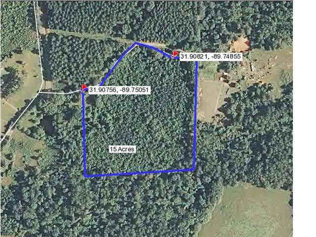 15 Walter Jones Road Mendenhall, MS 39111 - Photo 5 of 6 Photo 5