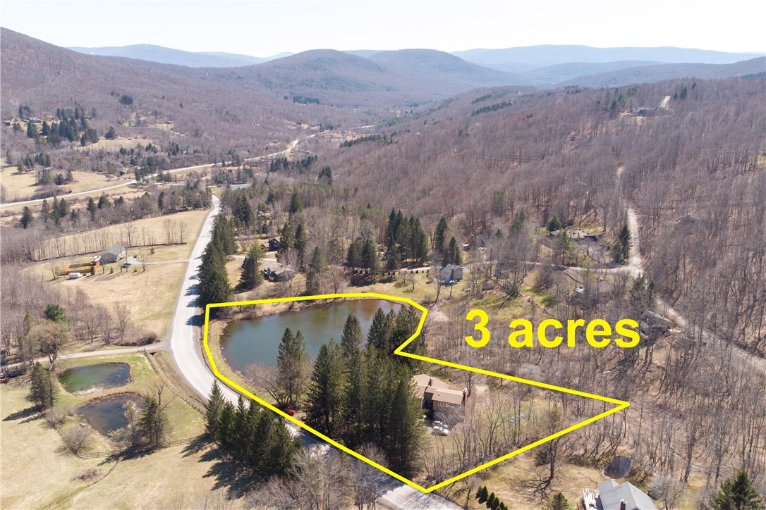 1888 County Highway Denver, NY 12421 - Photo 5 of 46