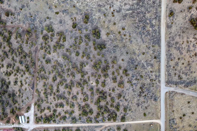 a view of a dry yard