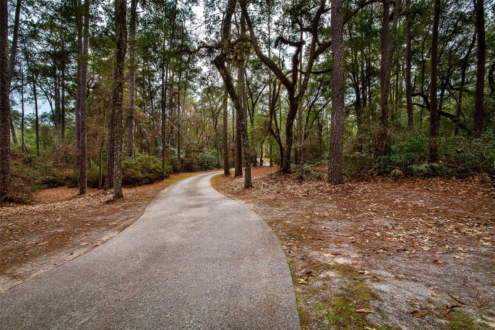 28175 Hammock Road Hilliard, FL 32046 - Photo 26 of 32