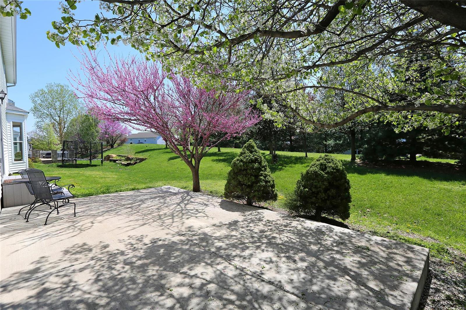 210 Strathmoor Way Dardenne Prairie, MO 63368 - Photo 41 of 48