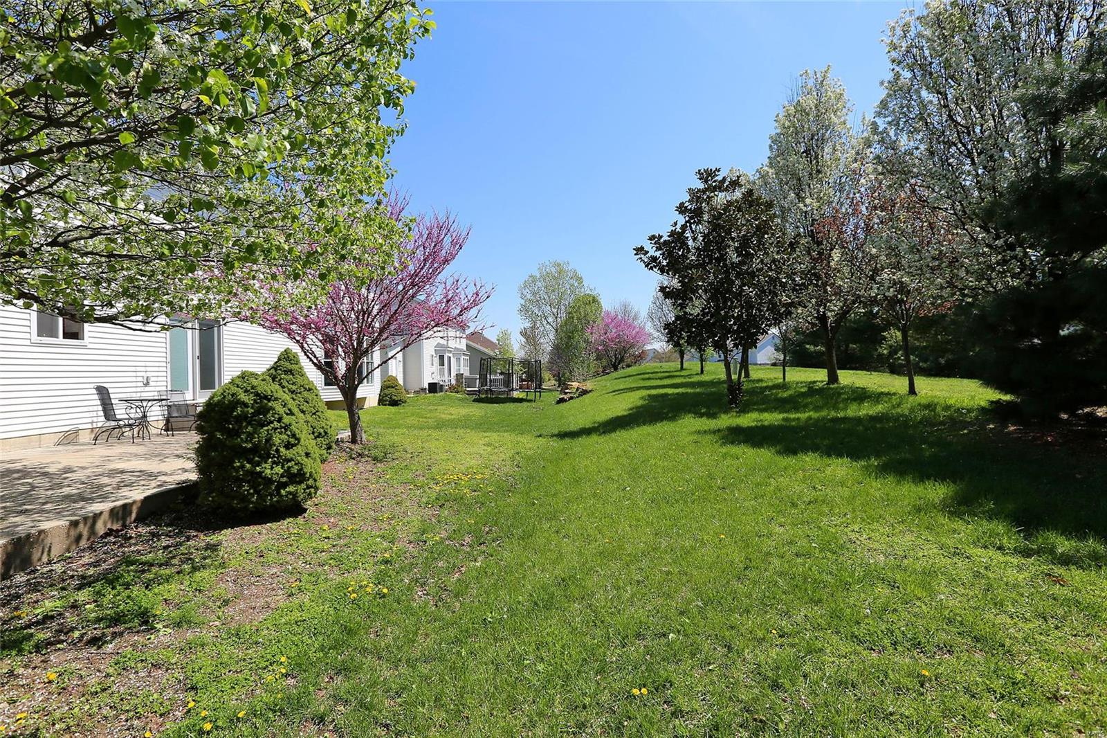 210 Strathmoor Way Dardenne Prairie, MO 63368 - Photo 43 of 48