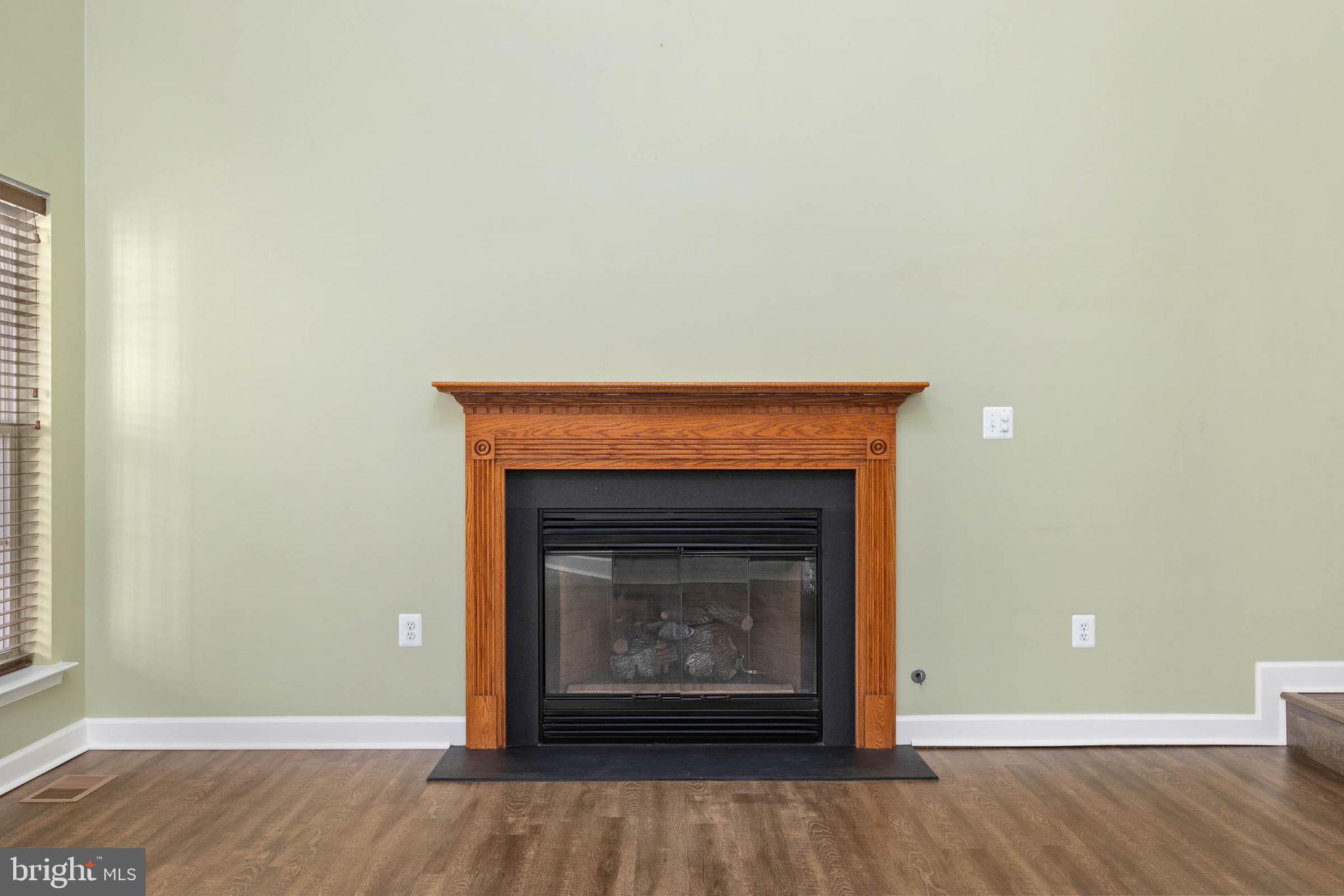 149 Revell Road Fredericksburg, VA 22405 - Photo 28 of 80 Gas fireplace