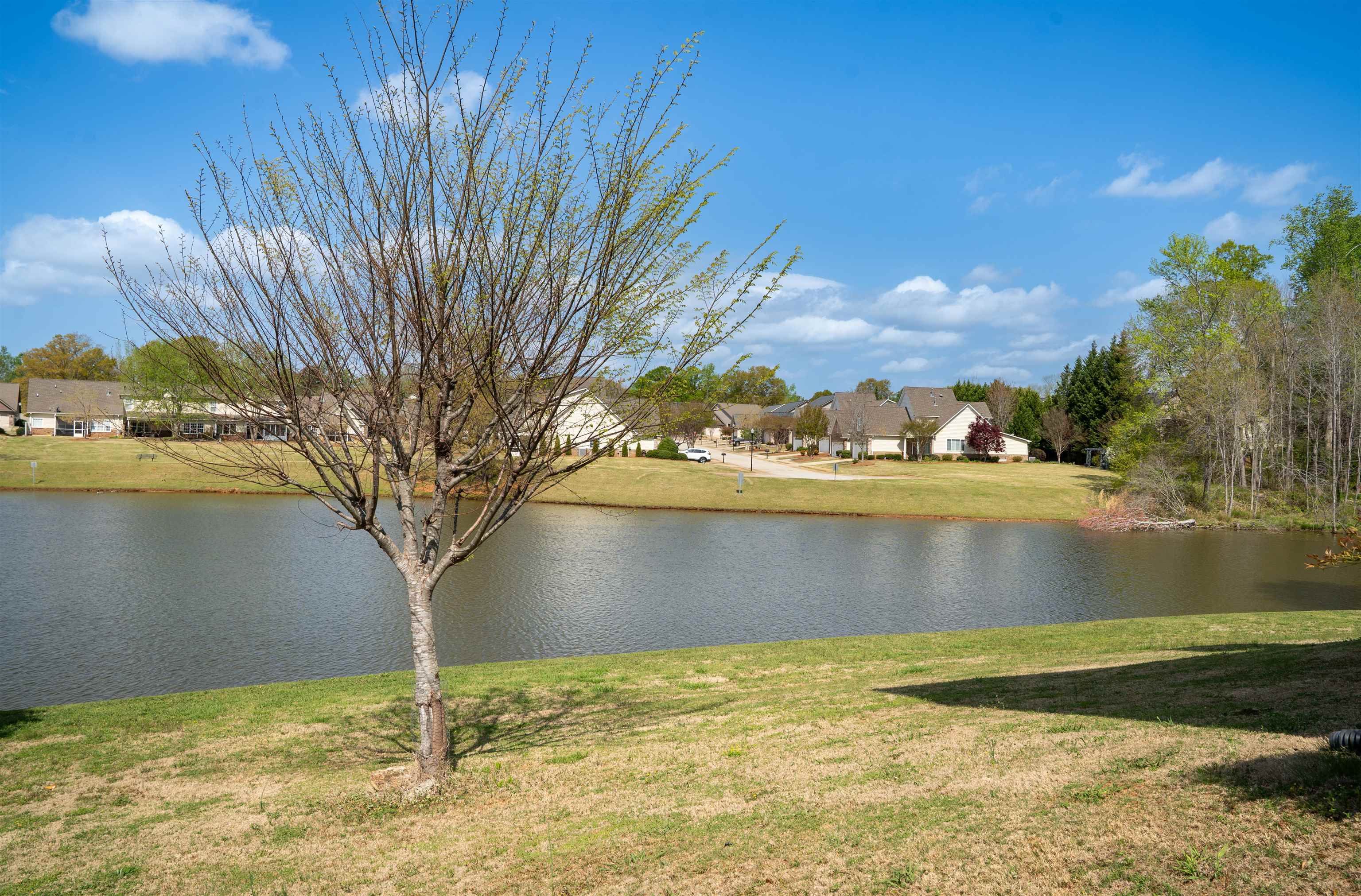 131 Walkers Bluff Road Boiling Springs, SC 29316 - Photo 35 of 43