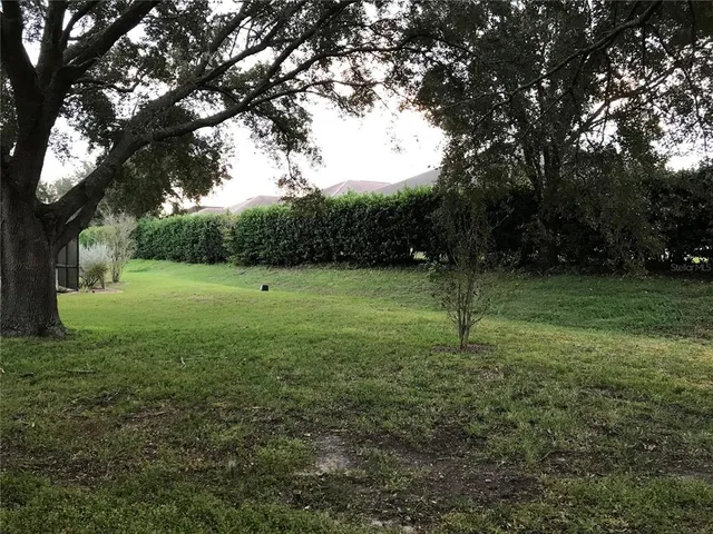 a view of a green field with trees