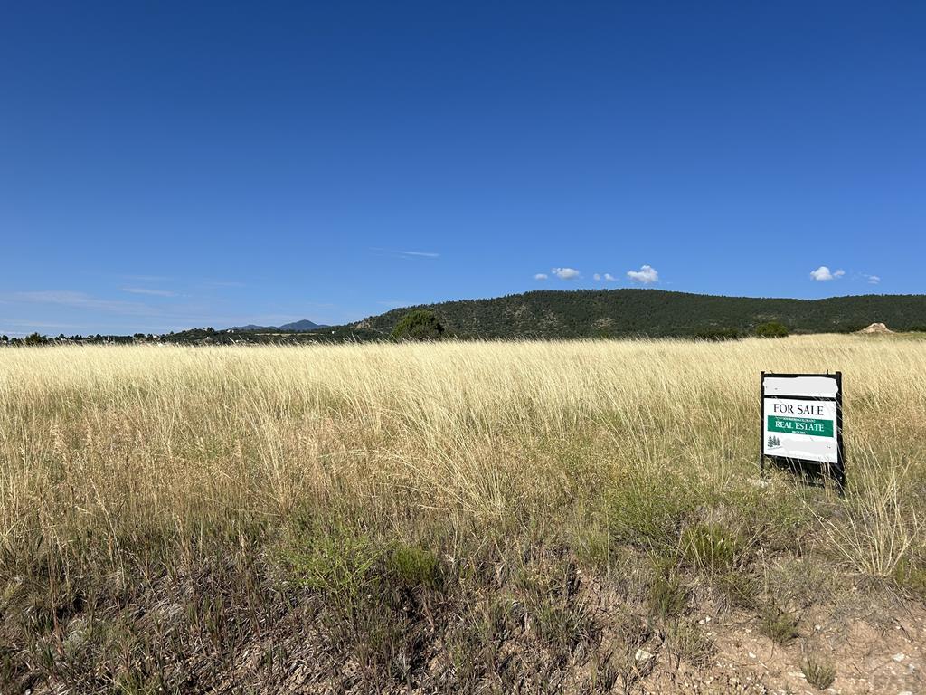 5 Lago Vista Boulevard Rye, CO 81069 - Photo 2 of 35