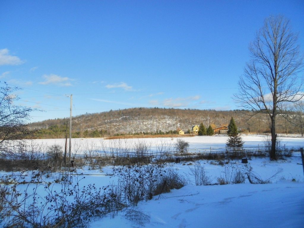 1591 Roscoe Road Charlotte, VT 05445 - Photo 31 of 34 Gallery Image 31