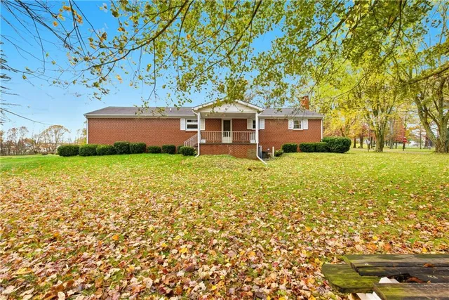 a view of a yard with plants and large trees