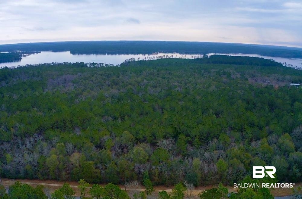 0 Baxter Road Wilmer, AL 36587 - Photo 1 of 6