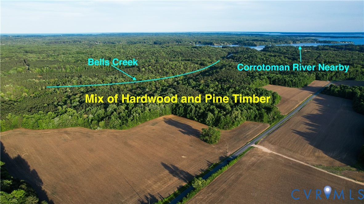108.5-ac Buzzards Neck Road Lancaster, VA 22503 - Photo 7 of 50