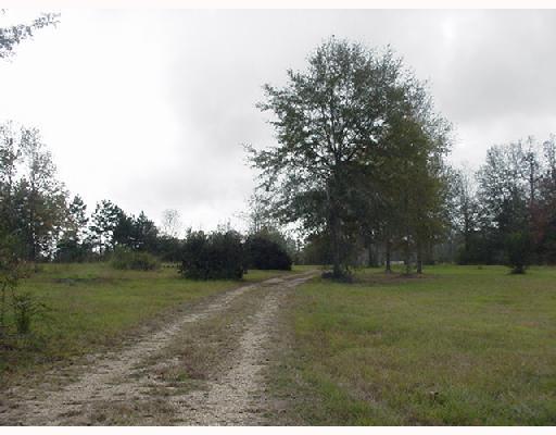 53265 Denver Brown Road Loranger, LA 70446 - Photo 4 of 8 Gallery Image 4