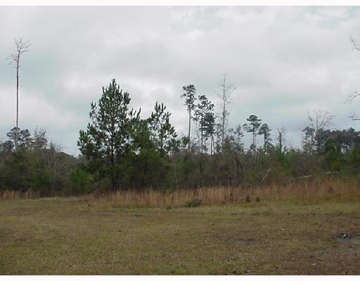 53265 Denver Brown Road Loranger, LA 70446 - Photo 5 of 8 Gallery Image 5