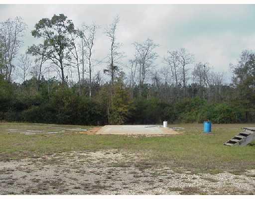 53265 Denver Brown Road Loranger, LA 70446 - Photo 6 of 8 Gallery Image 6