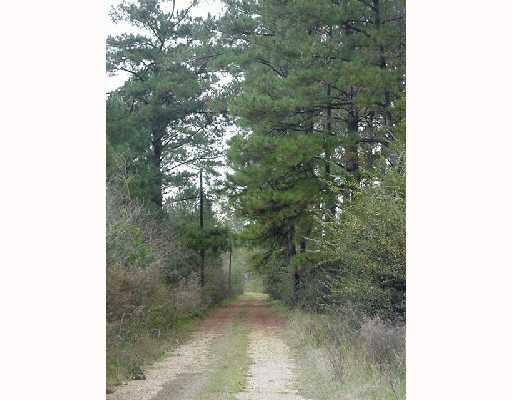 53265 Denver Brown Road Loranger, LA 70446 - Photo 7 of 8 Gallery Image 7