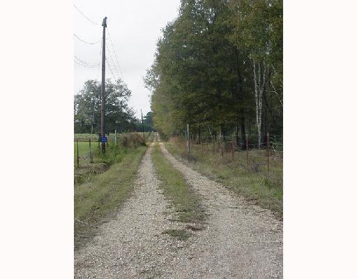53265 Denver Brown Road Loranger, LA 70446 - Photo 8 of 8 Gallery Image 8