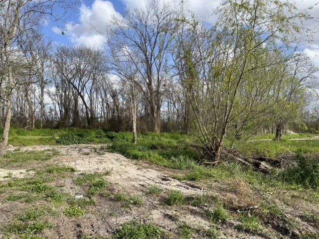 131 McKeever Road Rosharon, TX 77583 - Photo 3 of 10