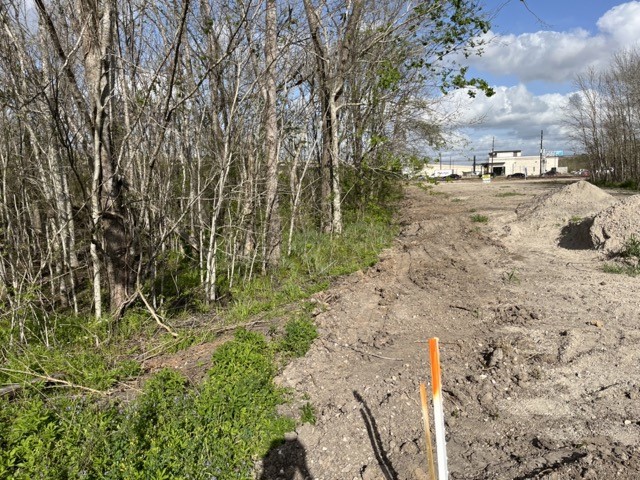 131 McKeever Road Rosharon, TX 77583 - Photo 4 of 10