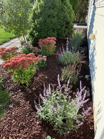 $535,000 | 15 Atwood Avenue, Unit 15, Norwood, MA 02062