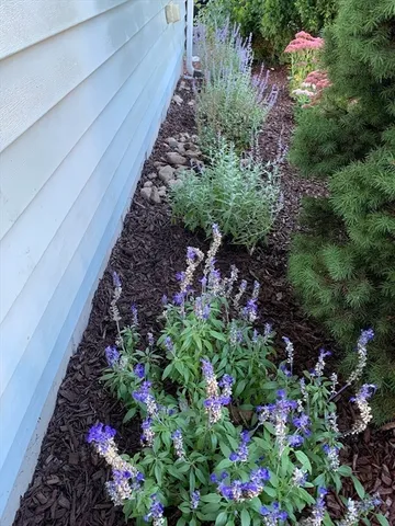 $535,000 | 15 Atwood Avenue, Unit 15, Norwood, MA 02062