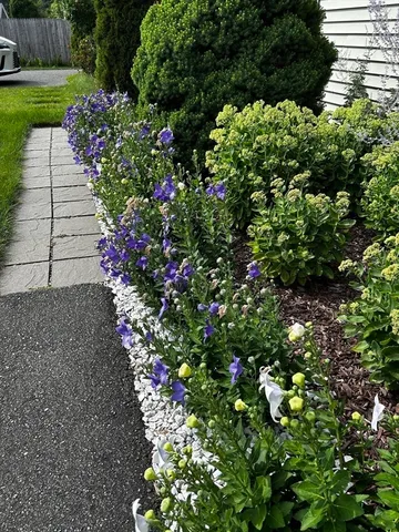 $535,000 | 15 Atwood Avenue, Unit 15, Norwood, MA 02062