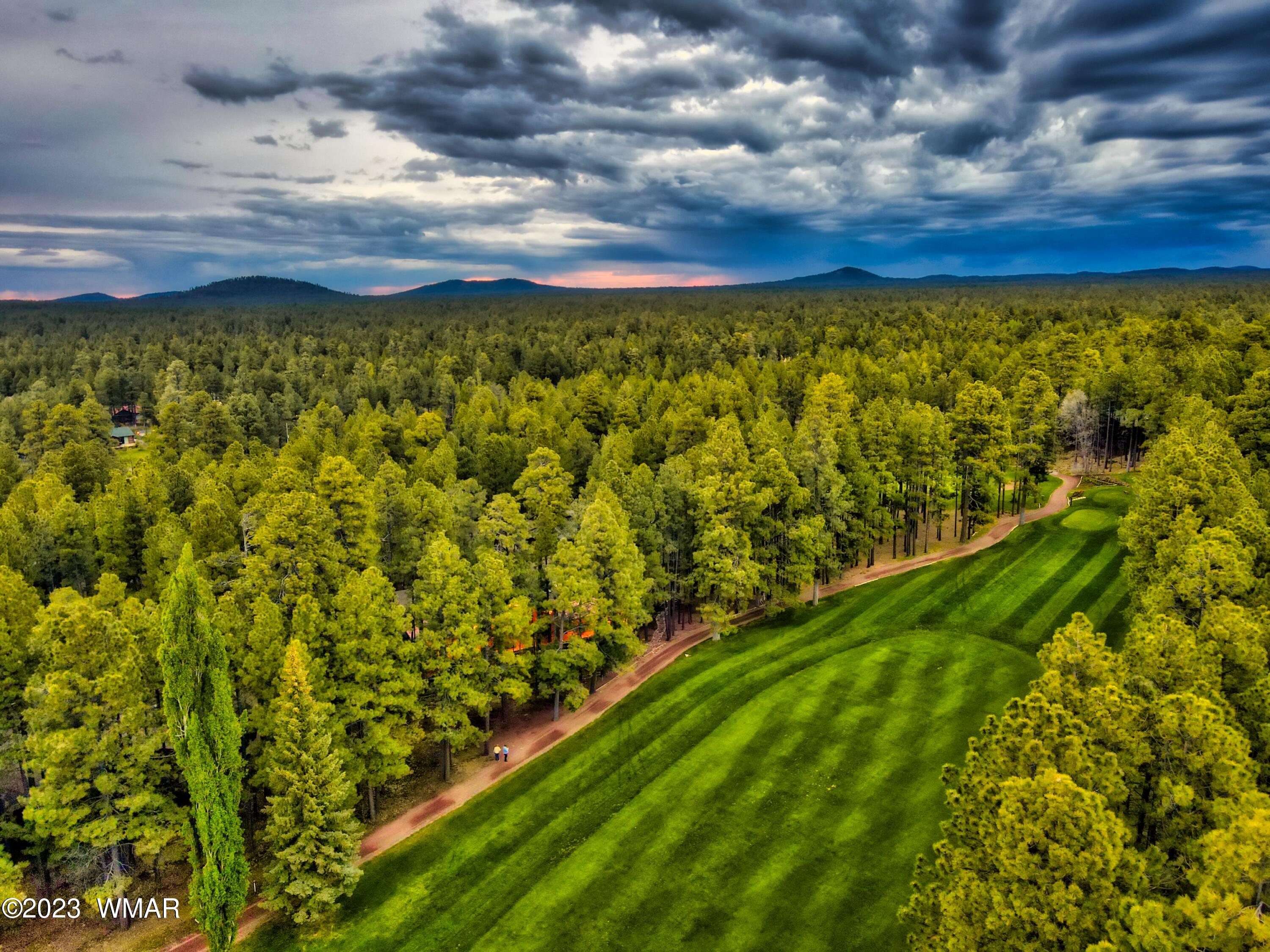 7585 White Oak Road Pinetop, AZ 85935 - Photo 11 of 88