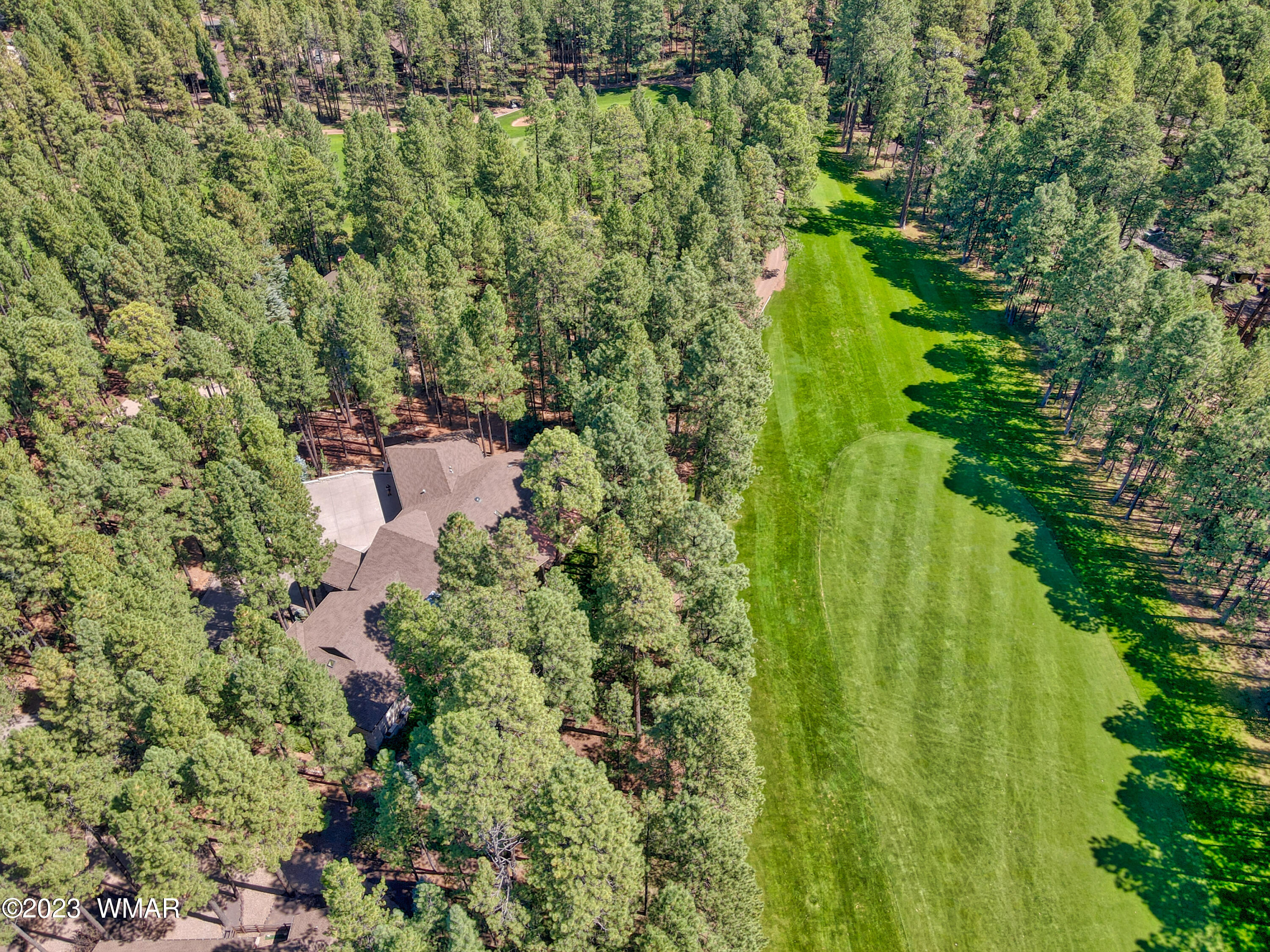 7585 White Oak Road Pinetop, AZ 85935 - Photo 3 of 88