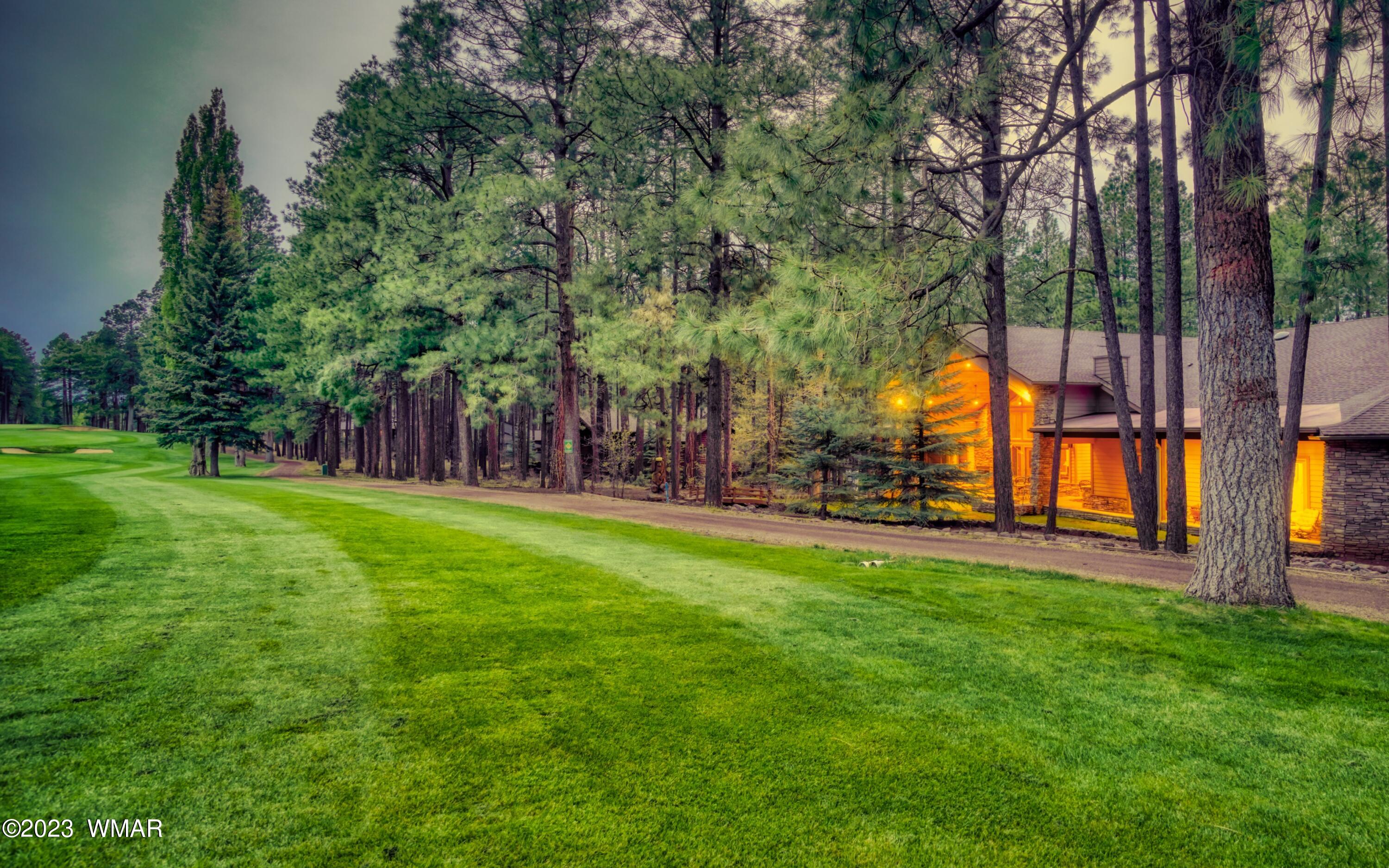 7585 White Oak Road Pinetop, AZ 85935 - Photo 6 of 88